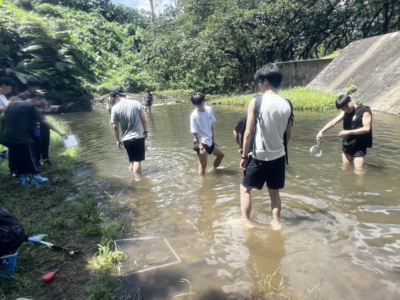   在淡水溪流的下游採集樣本